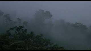 First Encounter Scene  PREDATOR 1987 Arnold Schwarzenegger Movie CLIP HD [upl. by Sev]