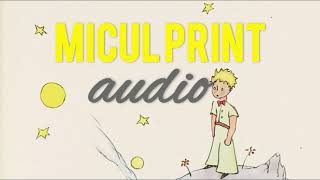 Micul Print cu ilustratiile autorului  carti audio [upl. by Kered]