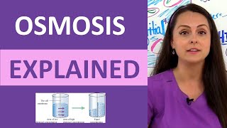 Osmosis Explained Solutes and Osmolarity  What is Osmosis Nursing School Review NCLEX [upl. by Close]