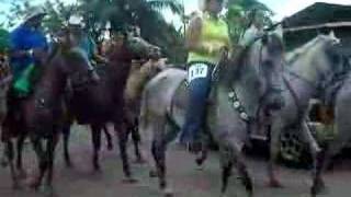 Cabalgata large horse parade [upl. by Laehcim]