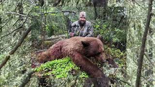 Colour Phase Archery hunt Manitoba Spring Bears Part 2 [upl. by Aldo631]