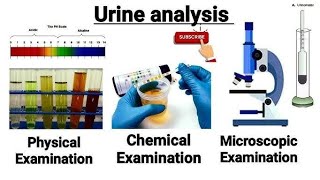 Urine analysis physical chemical and microscopic examination [upl. by Hux878]