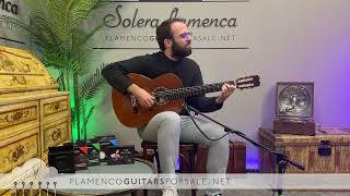 Felipe Conde Crespo 2024 flamenco Guitar for sale played by Toni Abellán [upl. by Chema508]