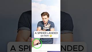 A SPIDER LANDED ON TOM HOLLAND 😭 [upl. by Roxy]