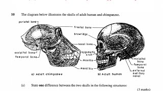 KCSE Biology revision 2015 biology paper 1 questions and answers science quiz exam guide [upl. by Sregor102]