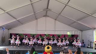 La Crosse Hmong New Year JV Dance Competition  Eternal Embers  Round 2 2024 [upl. by Cesare]