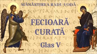 Fecioară curată glas 5  Mănăstirea Radu Vodă [upl. by Deloria]