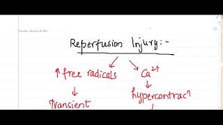 reperfusion injury  Pathology [upl. by Nahbois]