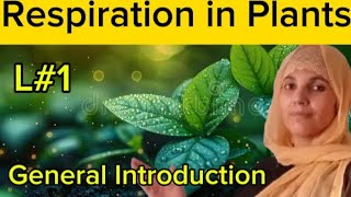 Plant PhysiologyL1Respiration In PlantsCelluler RespirationAll Boards ExamNEETMDCAT Biology [upl. by Masterson]