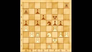 Classic Chess Games Carl Schlechter vs Emanuel Lasker 1910 Match Round 1 Vienna [upl. by Acinnor]