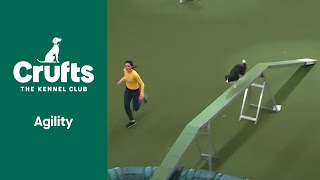 Agility Championship IntermediateLarge Final  ​Crufts 2022 [upl. by Drexler232]