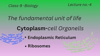 Cytoplasm and Endoplasmic reticulumand Ribosomes science pushpeshkiPathshala [upl. by Jago652]