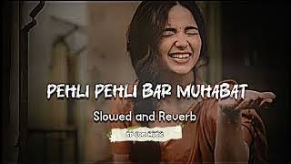 Pehli Pehli Baar Mohabbat Ki  Hindi Song  Hindi Slowed Reverb  Pehli Pehli Baar Slowed Reverb [upl. by Edwyna]