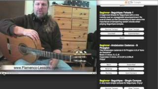 FlamencoLessonscom  Flamenco Guitar Lessons Part 1 [upl. by Rocco890]