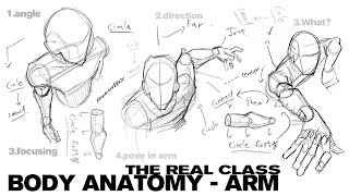 THE REAL CLASS  BODY ANATOMY  ARM [upl. by Rubenstein]