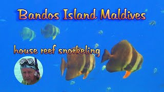 Snorkel Bandos Maldives [upl. by Row872]