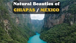 Magnificent Nature of Chiapas Mexico 4K Scenic Film With Peaceful Music [upl. by Amitie]