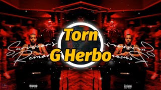 G Herbo  Torn Lyrics [upl. by Libenson]