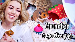 HAMSTER CAGE CLEANING amp CAGE TOUR  Syrian Hamster [upl. by Broder200]