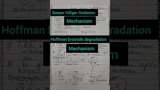 baeyer Villiger Oxidation and Hoffman bromide degradation chemistry shorts 1000subscriber [upl. by Erund]