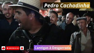 ✅ Pedro Cachadinha  Cantigas a Desgarrada [upl. by Portugal200]