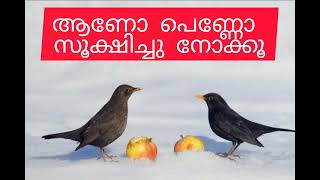 സ്തീപുരുഷന്മാര്‍ തോല്‍ക്കുന്ന ഇടങ്ങള്‍  viralvideo motivation malayalam success happines [upl. by Ahsenom]