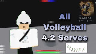 Every Serve in Volleyball 42 Easy to Advanced [upl. by Amaryl]