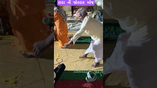 દાદાની જોરદાર મોજ shortsfeed shorts [upl. by Aziar]