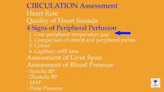 CirculationPart IHow do I assess [upl. by Sidky]