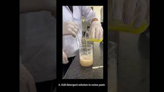 DNA Isolation from Onion  MPharm Research Lab Insight [upl. by Ahsrats702]