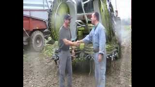 Vidéo ensilage de maïs en Vendée  ensileuse CLAAS [upl. by Ailedua]