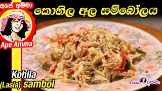 ✔ Kohila Ala sambol කොහිල අල සම්බෝලය Lasia sambol by Apé Amma [upl. by Gereld]