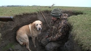 Wildfowling in Scotland [upl. by Lleret524]