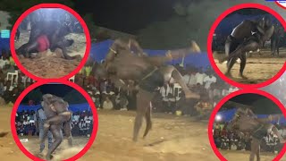 Spécial NDIACK SÉNE bou saff sapp à campement nguékokh  Ambiance Combat etc… [upl. by Anica695]