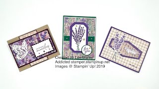 Sneak Peek with Perennial Lavender from Stampin Up [upl. by Krause]