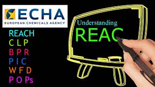 Understanding REACH Legislation [upl. by Thierry548]