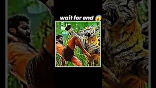 TIGER 🐯 ATTACK 🥵😱  NTR ATTITUDE  tiger ytshorts shorts ntr movie [upl. by Wetzel]