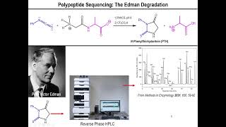 Lec11  Amino Acid Sequencing and the Edman Degradation [upl. by Nawat]