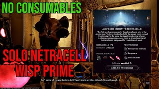 Netracell Solo No Consumables Wisp Prime Warframe [upl. by Aube407]