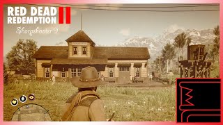 Red Dead Redemption 2 Sharpshooter 9 [upl. by Onifur]