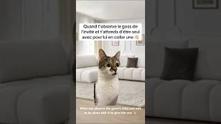 Le goss de l’invité 👶🏼 chat fun humour [upl. by Araas]