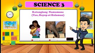 HEREDITY  Mga Katangiang Namamana ng Tao Hayop at Halaman  SCIENCE 3  QUARTER 2 [upl. by Briscoe]