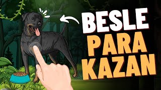 KURT BESLE PARA KAZAN  🤑 Para Kazandıran Uygulamalar [upl. by Stephine135]