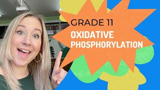 OXIDATIVE PHOSPHORYLATION  Cellular Respiration [upl. by Danell996]