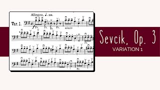 Sevcik Op 3 40 Variations  Variation 1 [upl. by Lemieux708]