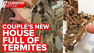 Millions of termites found in walls of couples new home  A Current Affair [upl. by Naenej929]