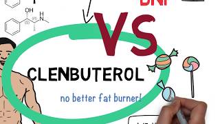 Clenbuterol Clen  A Foolproof Illustrated Guide in 2019 Video [upl. by Puglia679]