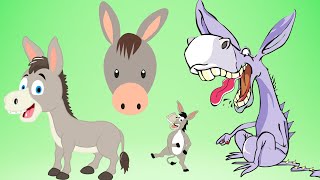 quotHeeHaw Donkey’s Day  Fun Donkey Song for Kidsquot [upl. by Alston]