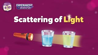 Scattering of Light Experiment  Science Experiments at Home ExperimentShorts [upl. by Alba]