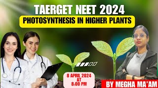 Photosynthesis in Higher Plants  Part 1 Introduction  Botany Class 11 [upl. by Welker]